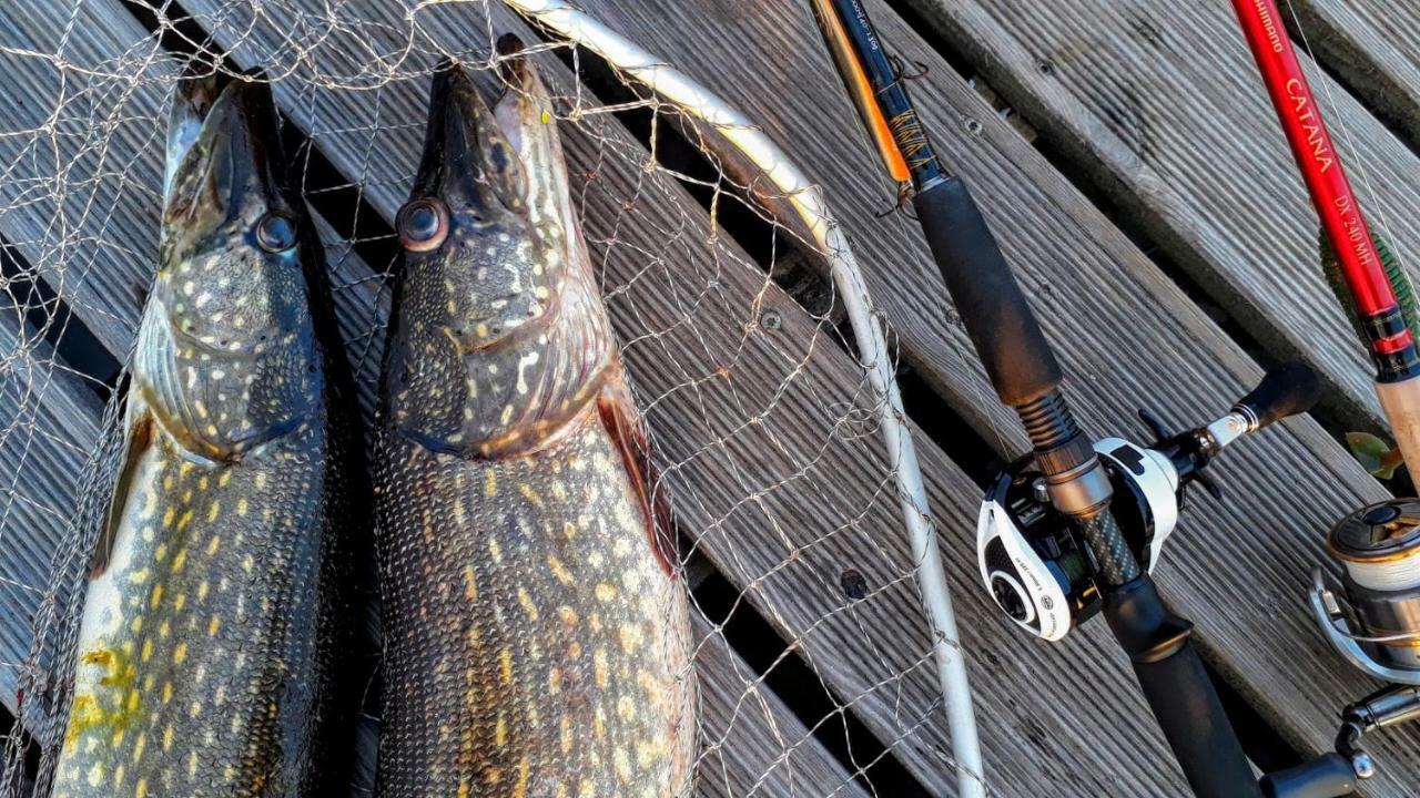 Kalurikula Fishing Village Pärnu Kültér fotó